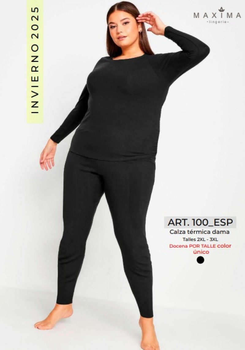 ARTICULO 100E