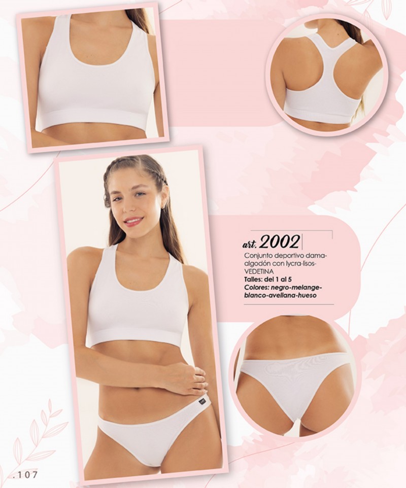 ARTICULO 2002