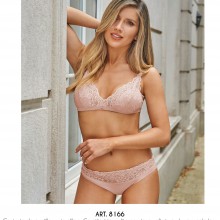 ARTICULO 8166
