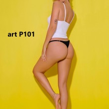 ARTICULO P101
