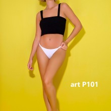 ARTICULO P101