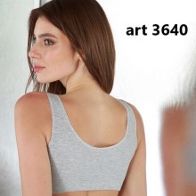 ARTICULO 3640