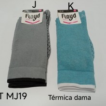 ARTICULO MJ19