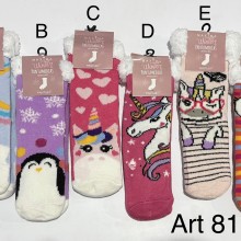 ARTÍCULO 81